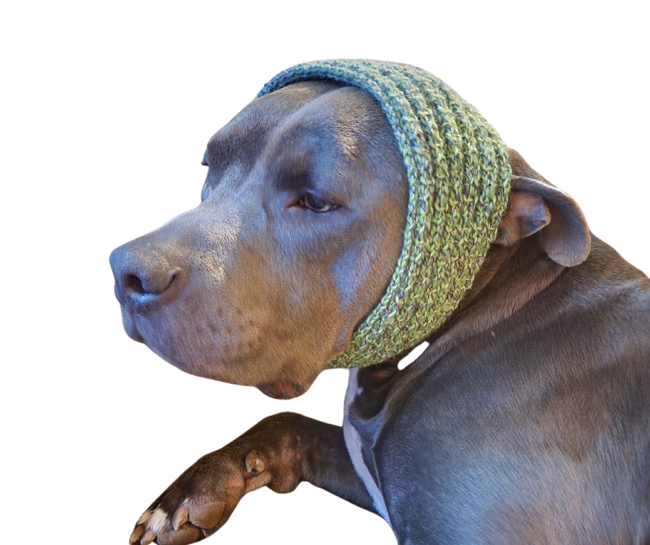 Headband Knitting Pattern: Unisex Ear Warmer (PDF Pattern)
