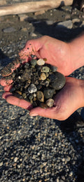Alaskan Pebble & Sand Mix – Natural Alaskan Beach Rocks and Jasper, Chert, Basalt Pebbles