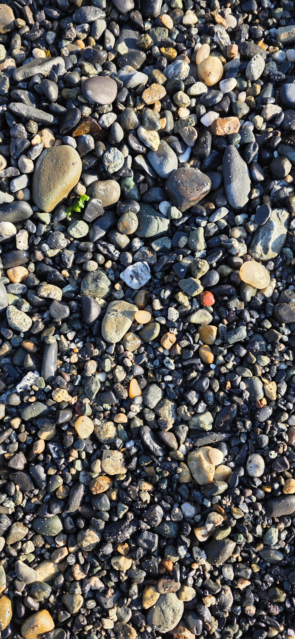 Alaskan Pebble & Sand Mix – Natural Alaskan Beach Rocks and Jasper, Chert, Basalt Pebbles