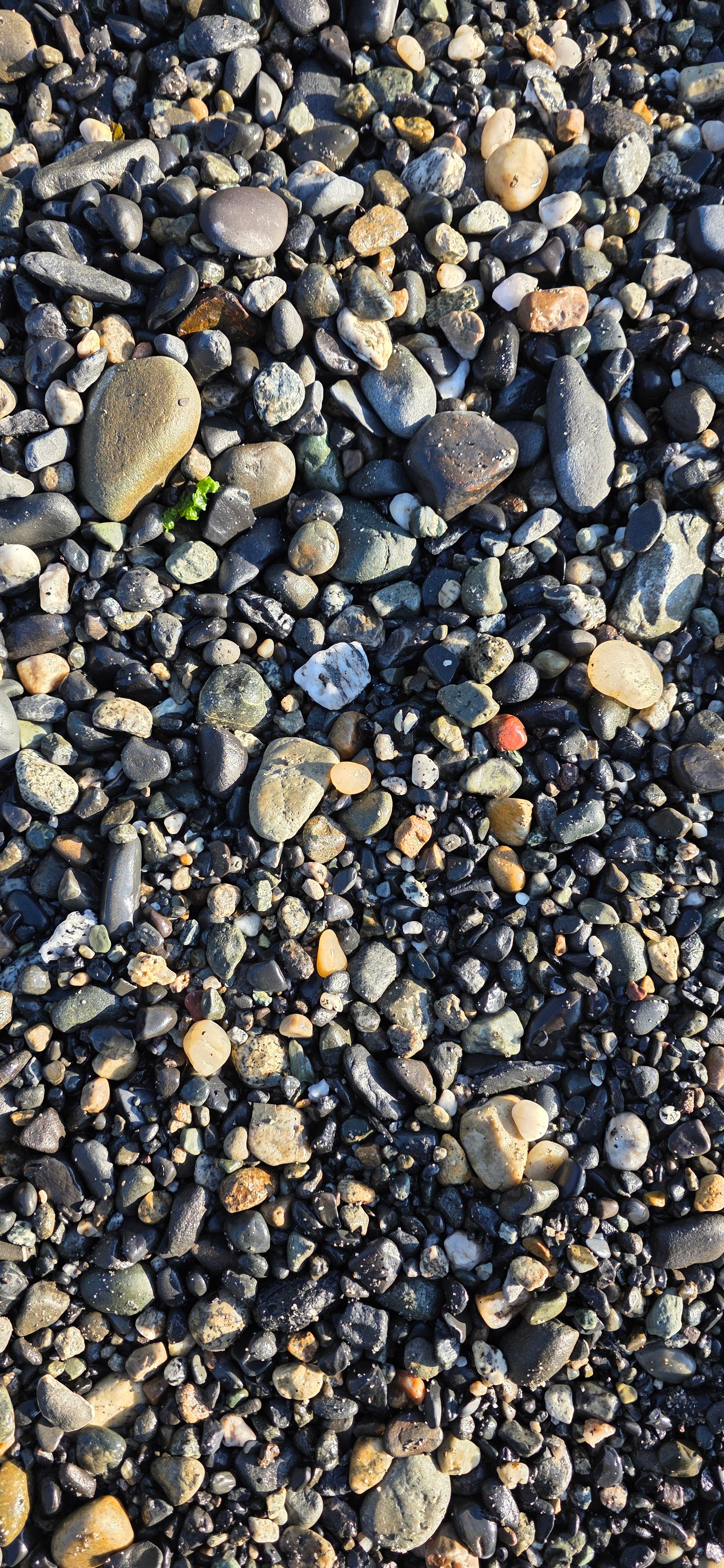 Alaskan Pebble & Sand Mix – Natural Alaskan Beach Rocks and Jasper, Chert, Basalt Pebbles