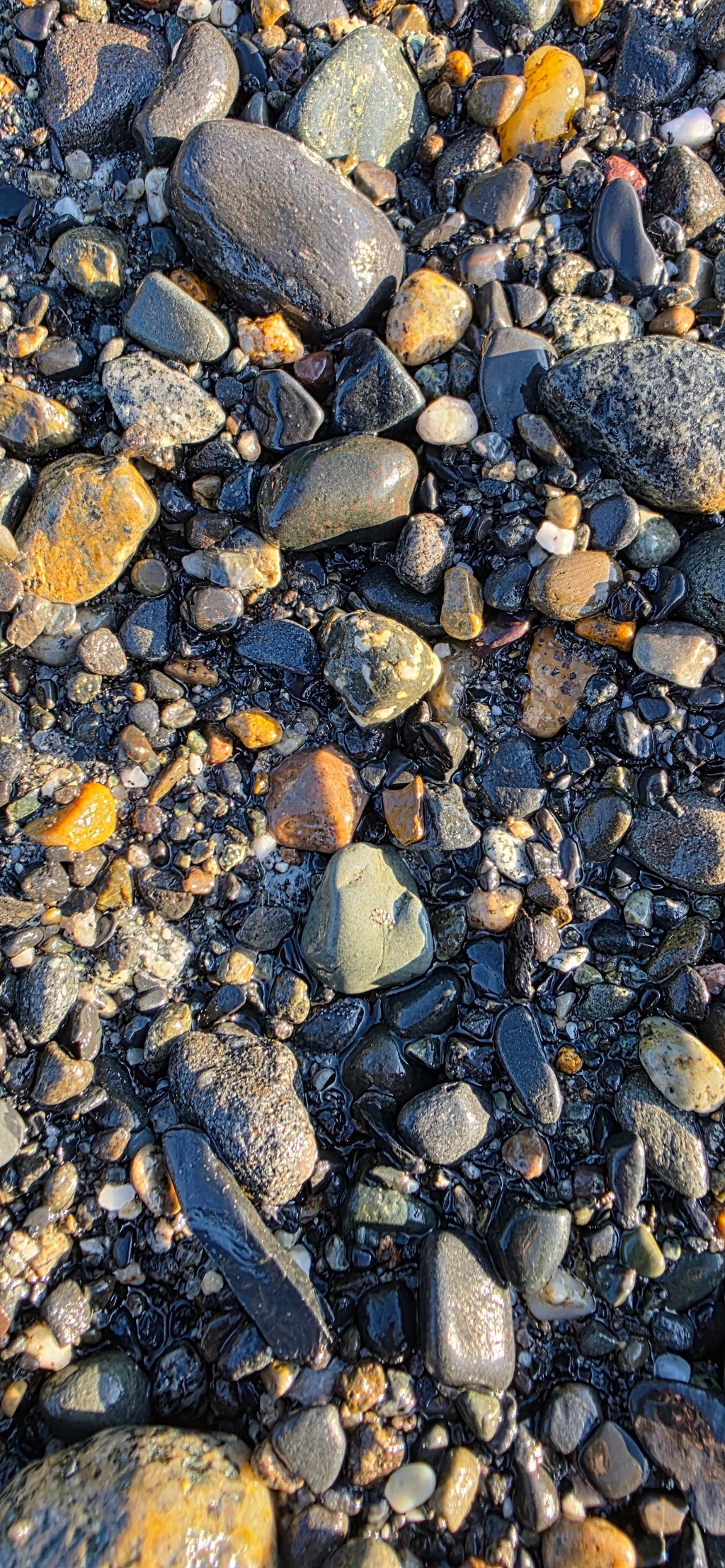 Alaskan Pebble & Sand Mix – Natural Alaskan Beach Rocks and Jasper, Chert, Basalt Pebbles