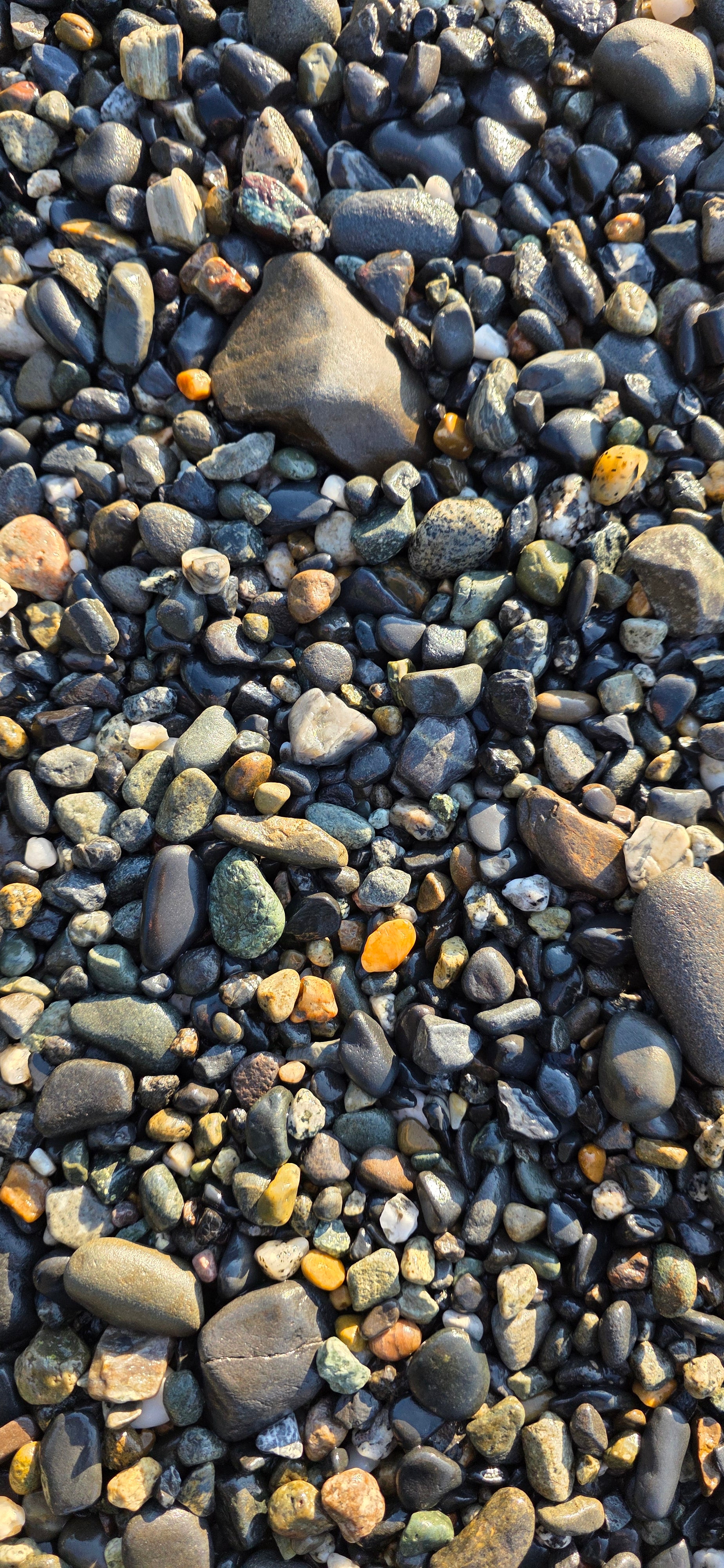 Alaskan Pebble & Sand Mix – Natural Alaskan Beach Rocks and Jasper, Chert, Basalt Pebbles