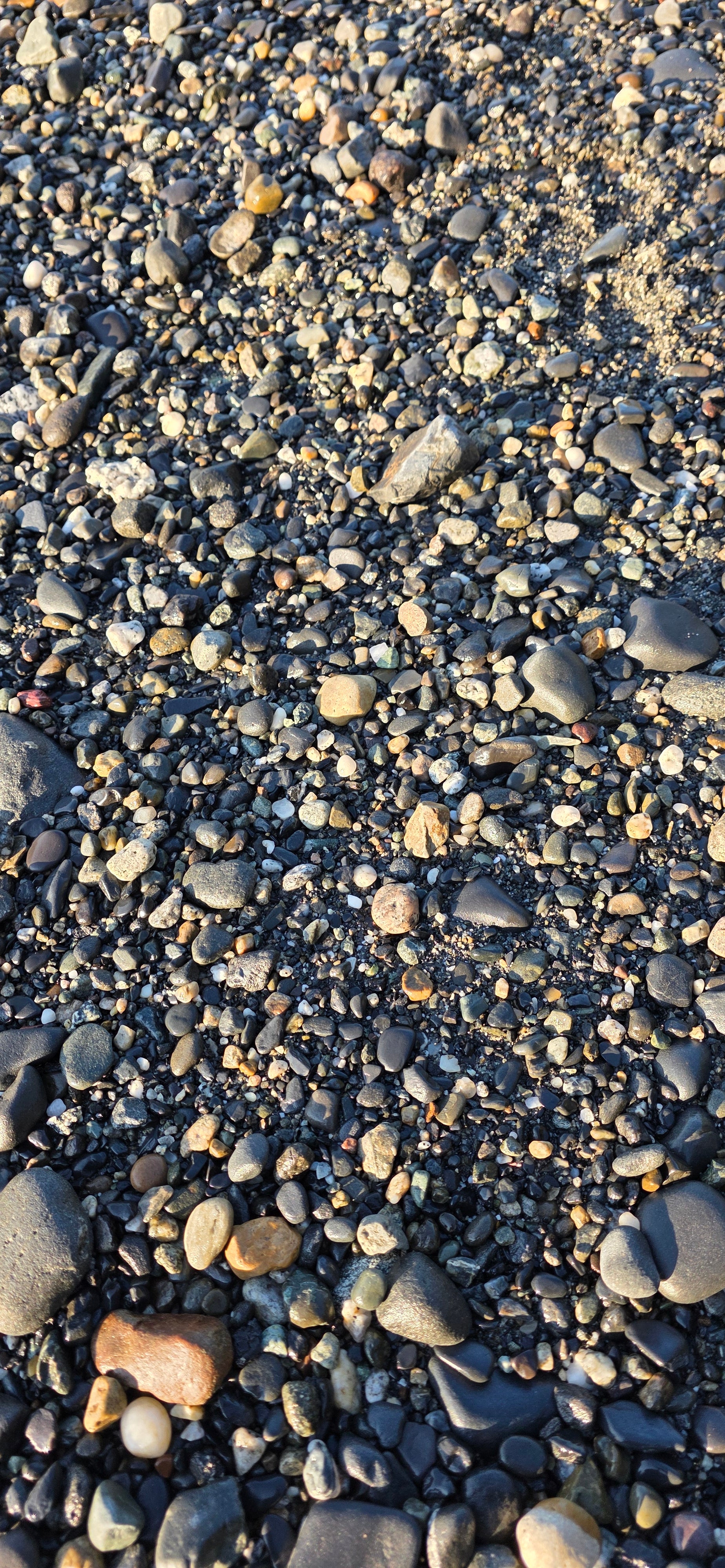 Alaskan Pebble & Sand Mix – Natural Alaskan Beach Rocks and Jasper, Chert, Basalt Pebbles