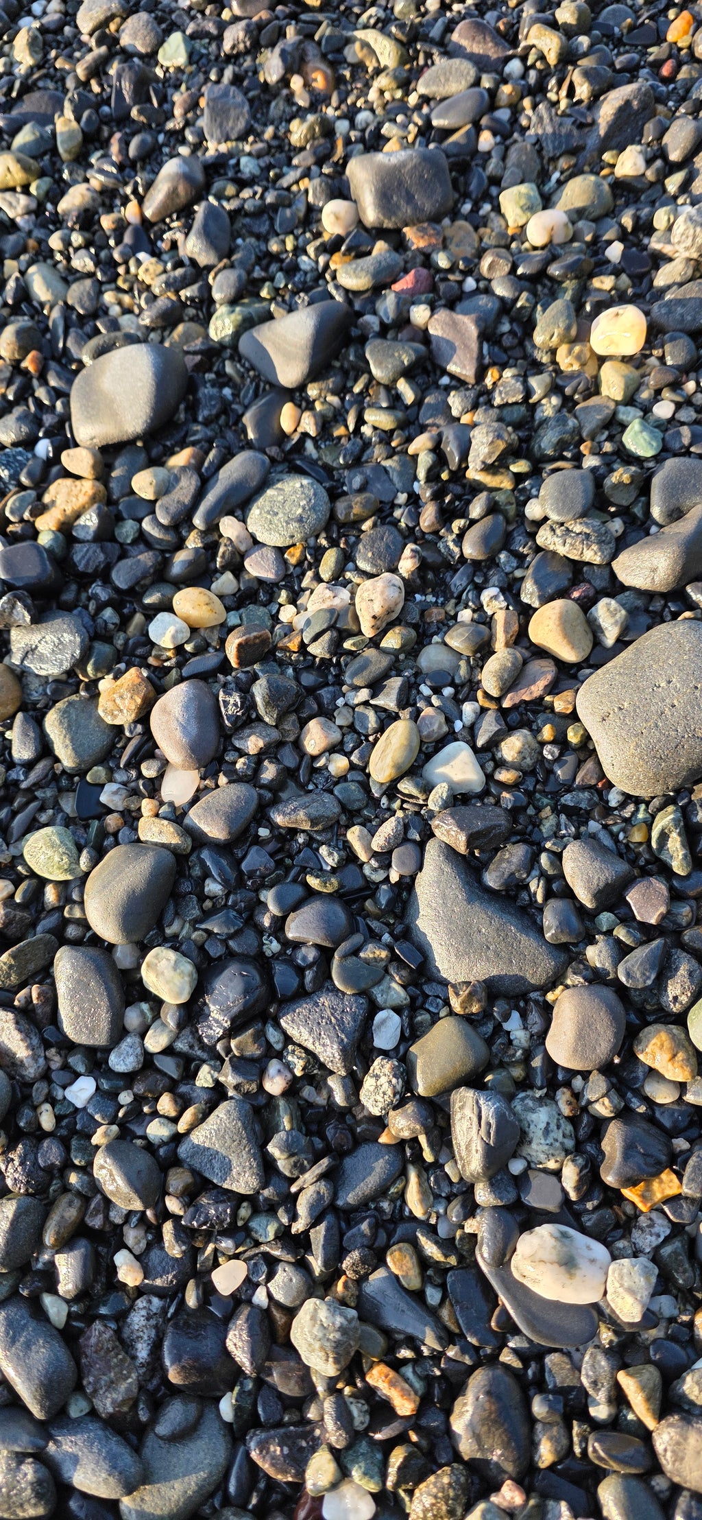 Alaskan Pebble & Sand Mix – Natural Alaskan Beach Rocks and Jasper, Chert, Basalt Pebbles