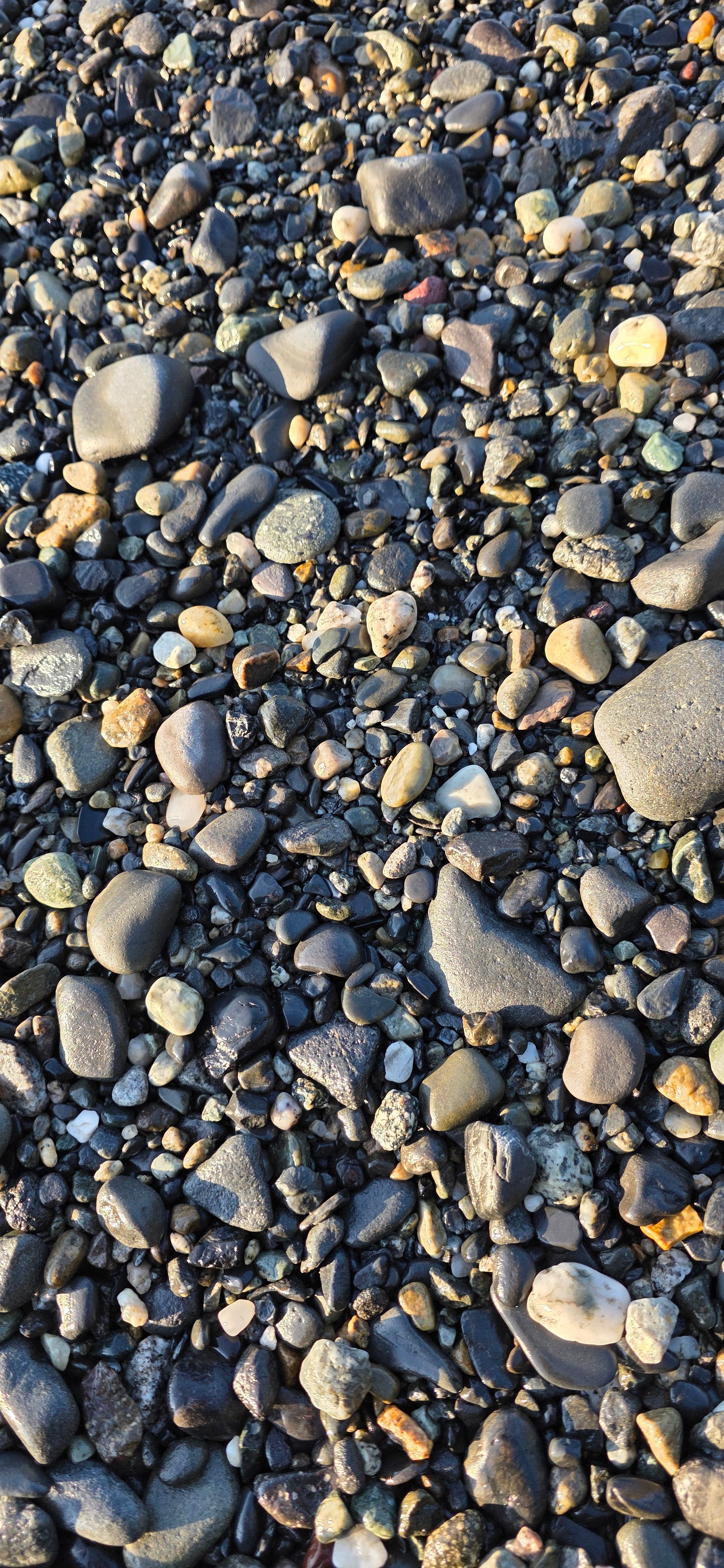 Alaskan Pebble & Sand Mix – Natural Alaskan Beach Rocks and Jasper, Chert, Basalt Pebbles