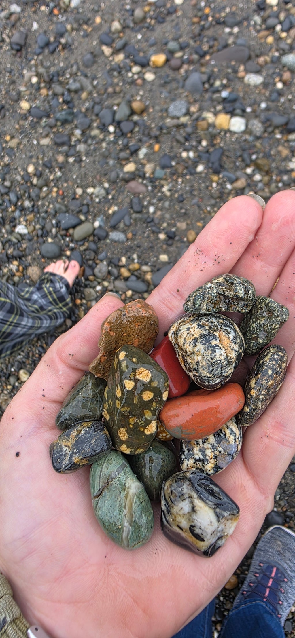 Alaskan Pebble Set: Jasper, Granite, Chert & Serpentine Stones