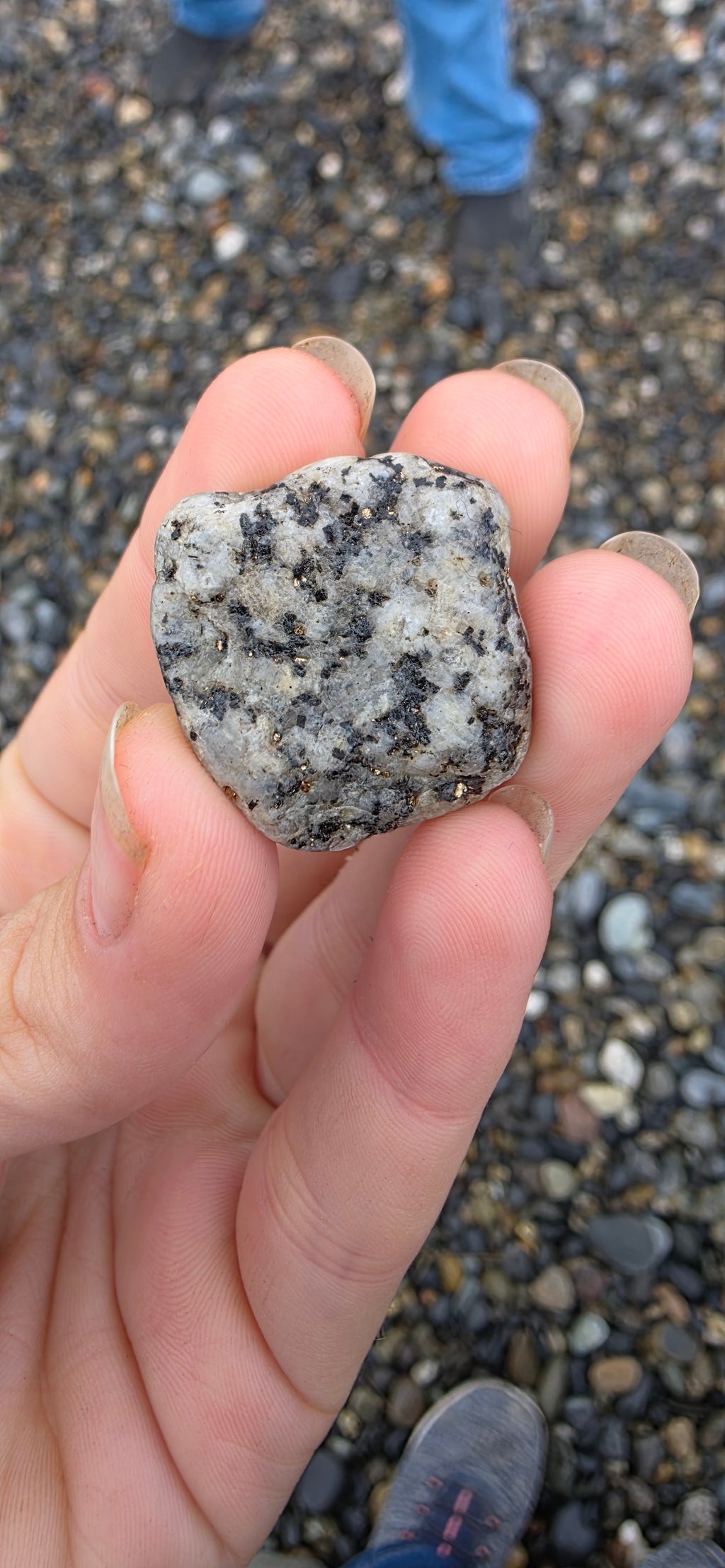 Alaskan Pebble Set: Jasper, Granite, Chert & Serpentine Stones